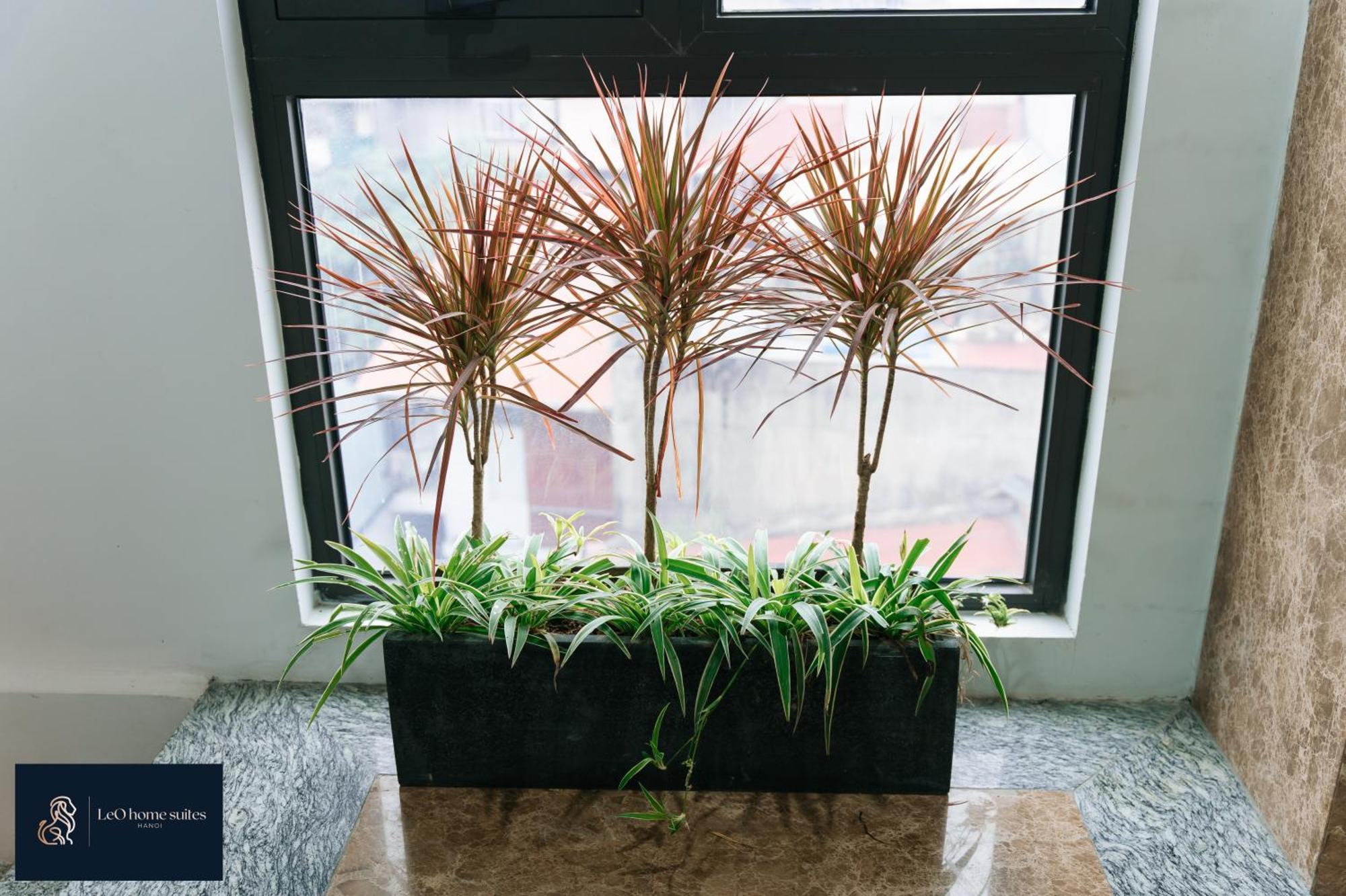 Home Suites -Natural Light -Projector -Spacious - 2Br Incenter Hanoi Exterior foto